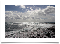 Wide Horizons digital - Anne Tidswell
